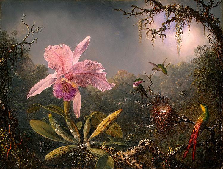 Martin Johnson Heade Cattleya Orchid and Three Brazilian Hummingbirds Germany oil painting art